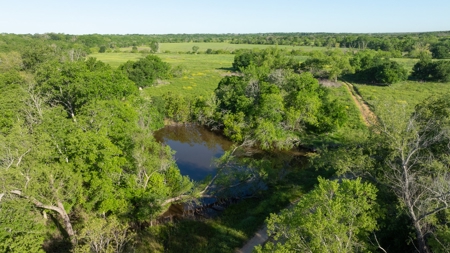 Lockhart Texas Ranch for Sale Between Austin & San Antonio - image 28
