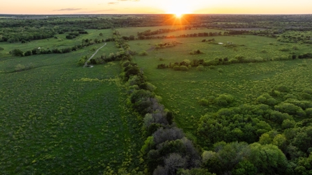 Lockhart Texas Ranch for Sale Between Austin & San Antonio - image 13