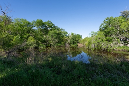 Lockhart Texas Ranch for Sale Between Austin & San Antonio - image 30