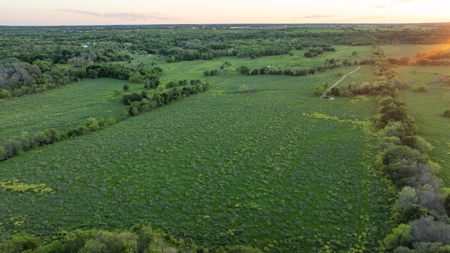 Lockhart Texas Ranch for Sale Between Austin & San Antonio - image 12