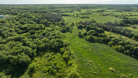 Lockhart Texas Ranch for Sale Between Austin & San Antonio - image 7