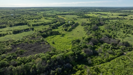 Lockhart Texas Ranch for Sale Between Austin & San Antonio - image 3