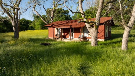 Lockhart Texas Ranch for Sale Between Austin & San Antonio - image 24