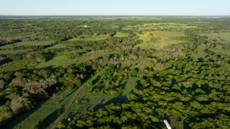 Lockhart Texas Ranch for Sale Between Austin & San Antonio - image 20