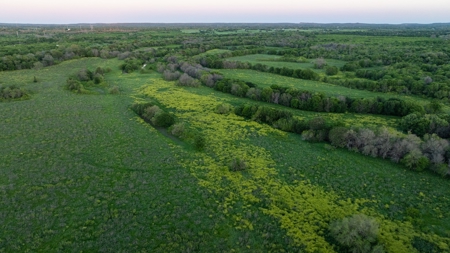 Lockhart Texas Ranch for Sale Between Austin & San Antonio - image 10