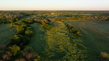 Lockhart Texas Ranch for Sale Between Austin & San Antonio - image 18