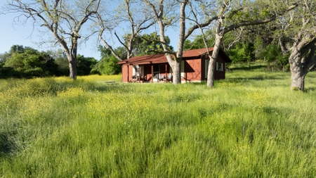 Lockhart Texas Ranch for Sale Between Austin & San Antonio - image 25
