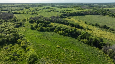 Lockhart Texas Ranch for Sale Between Austin & San Antonio - image 6