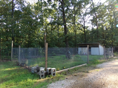 Country Home, Wooded Acreage, Detroit TX, Red River Co - image 3