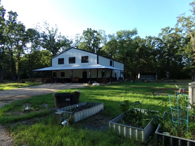 Country Home, Wooded Acreage, Detroit TX, Red River Co - image 1