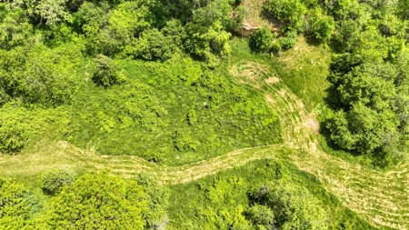 46 +/- Acres of Great Hunting and Fishing Vernon County WI - image 18
