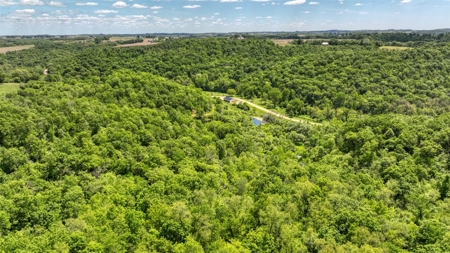 46 +/- Acres of Great Hunting and Fishing Vernon County WI - image 28