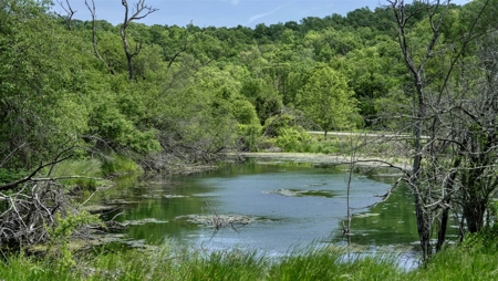 46 +/- Acres of Great Hunting and Fishing Vernon County WI - image 2