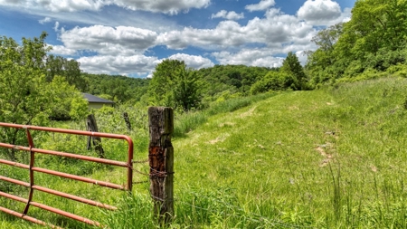 46 +/- Acres of Great Hunting and Fishing Vernon County WI - image 12