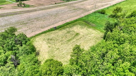 46 +/- Acres of Great Hunting and Fishing Vernon County WI - image 24