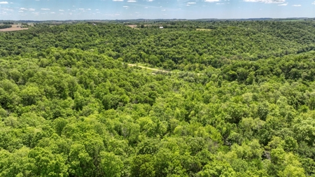 46 +/- Acres of Great Hunting and Fishing Vernon County WI - image 26