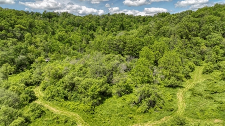 46 +/- Acres of Great Hunting and Fishing Vernon County WI - image 16
