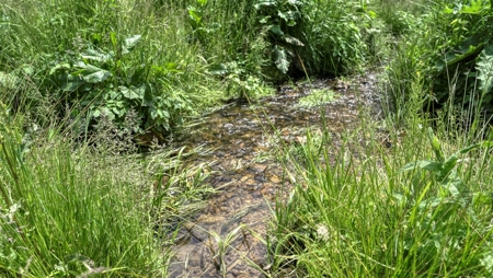 46 +/- Acres of Great Hunting and Fishing Vernon County WI - image 3