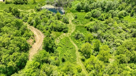 46 +/- Acres of Great Hunting and Fishing Vernon County WI - image 33