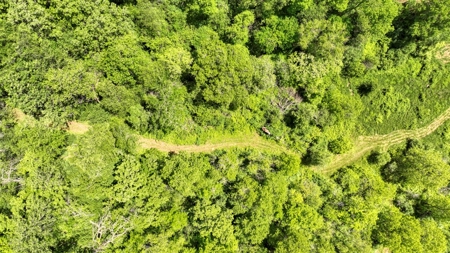 46 +/- Acres of Great Hunting and Fishing Vernon County WI - image 31