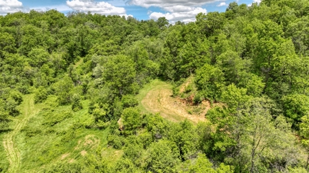 46 +/- Acres of Great Hunting and Fishing Vernon County WI - image 17