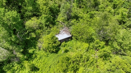 46 +/- Acres of Great Hunting and Fishing Vernon County WI - image 34