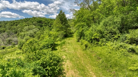 46 +/- Acres of Great Hunting and Fishing Vernon County WI - image 13