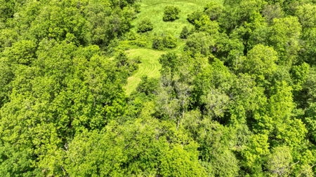 46 +/- Acres of Great Hunting and Fishing Vernon County WI - image 22