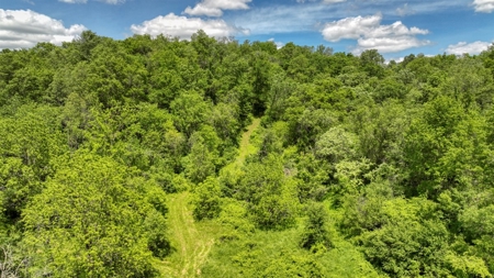 46 +/- Acres of Great Hunting and Fishing Vernon County WI - image 36
