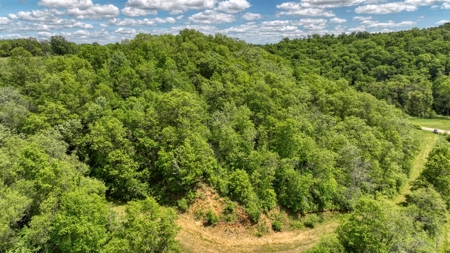 46 +/- Acres of Great Hunting and Fishing Vernon County WI - image 20