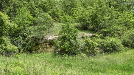 46 +/- Acres of Great Hunting and Fishing Vernon County WI - image 9