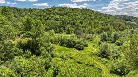 46 +/- Acres of Great Hunting and Fishing Vernon County WI - image 37