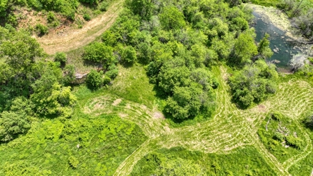 46 +/- Acres of Great Hunting and Fishing Vernon County WI - image 19