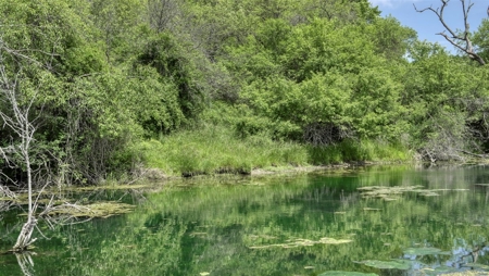46 +/- Acres of Great Hunting and Fishing Vernon County WI - image 7