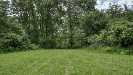 46 +/- Acres of Great Hunting and Fishing Vernon County WI - image 10