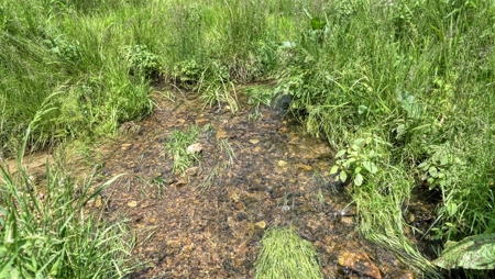 46 +/- Acres of Great Hunting and Fishing Vernon County WI - image 5