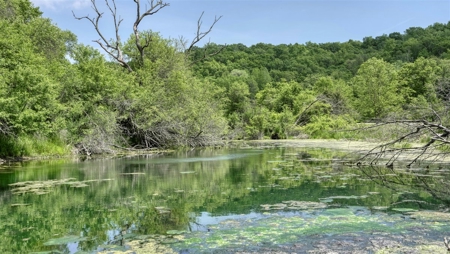 46 +/- Acres of Great Hunting and Fishing Vernon County WI - image 6