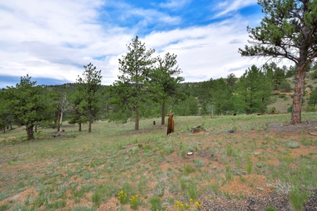Charming Mountain Cabin on 5 Mitigated Acres - Florissant, CO - image 25