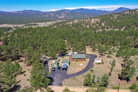 Charming Mountain Cabin on 5 Mitigated Acres - Florissant, CO - image 41