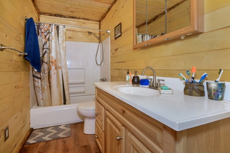 Charming Mountain Cabin on 5 Mitigated Acres - Florissant, CO - image 1