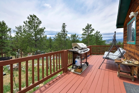 Charming Mountain Cabin on 5 Mitigated Acres - Florissant, CO - image 18