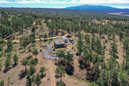 Charming Mountain Cabin on 5 Mitigated Acres - Florissant, CO - image 43