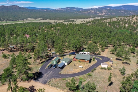 Charming Mountain Cabin on 5 Mitigated Acres - Florissant, CO - image 42