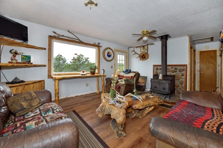 Charming Mountain Cabin on 5 Mitigated Acres - Florissant, CO - image 9