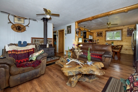 Charming Mountain Cabin on 5 Mitigated Acres - Florissant, CO - image 10
