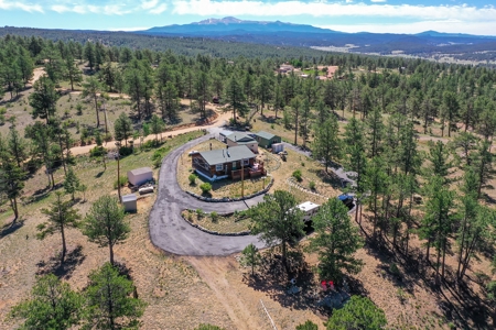 Charming Mountain Cabin on 5 Mitigated Acres - Florissant, CO - image 46