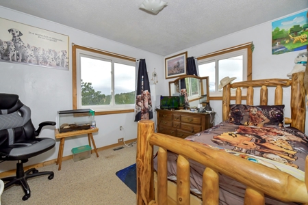 Charming Mountain Cabin on 5 Mitigated Acres - Florissant, CO - image 4