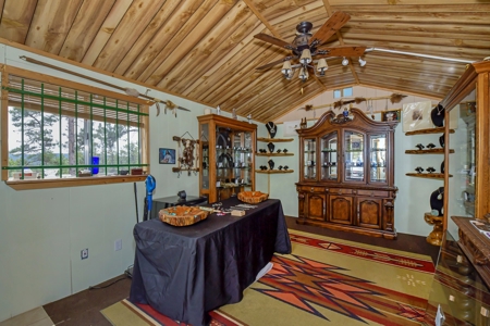 Charming Mountain Cabin on 5 Mitigated Acres - Florissant, CO - image 31