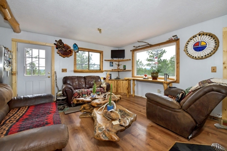 Charming Mountain Cabin on 5 Mitigated Acres - Florissant, CO - image 12