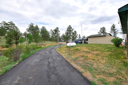 Charming Mountain Cabin on 5 Mitigated Acres - Florissant, CO - image 33